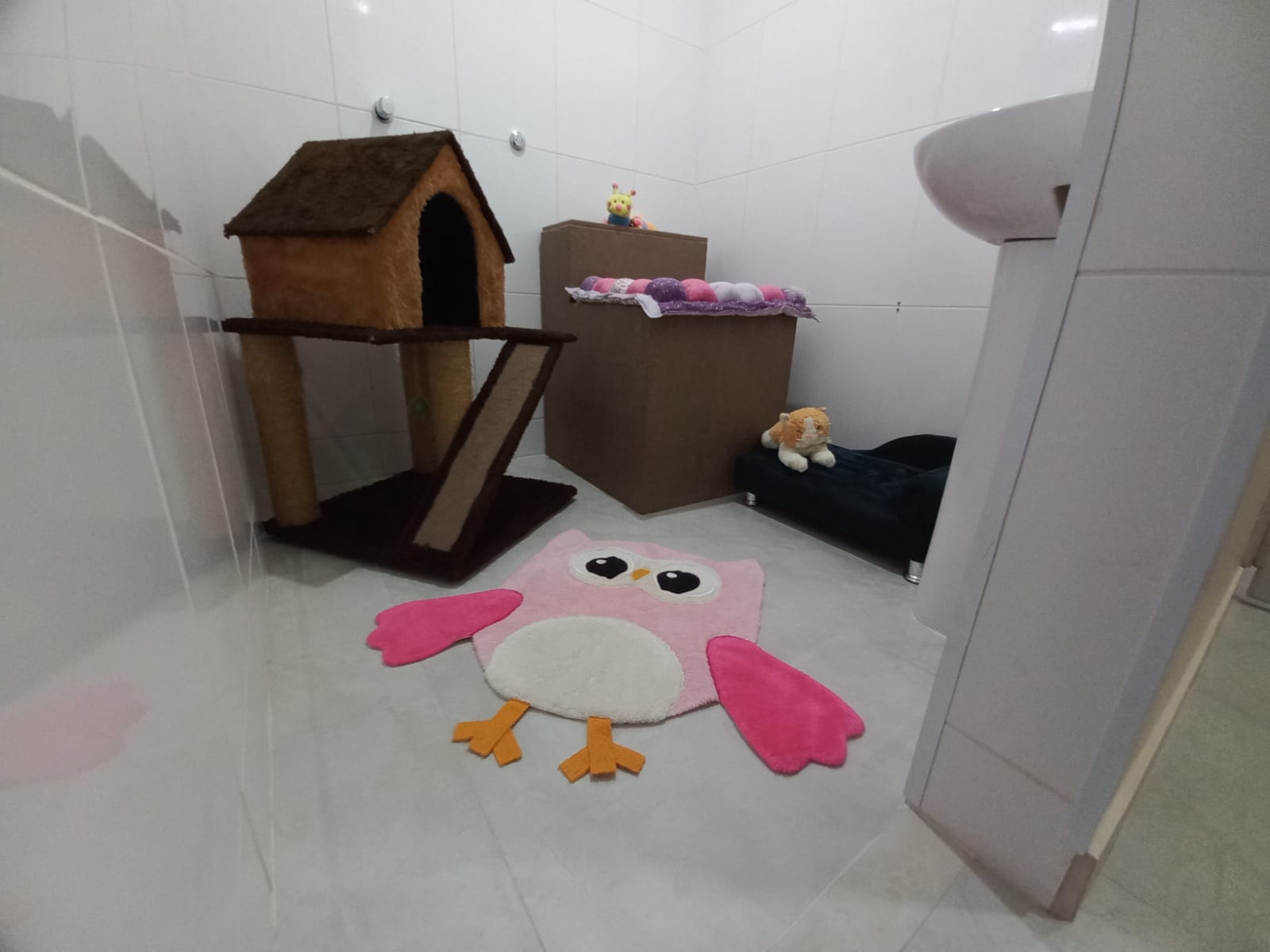 Hotel para gatos, Hotel e Creche Gatinho Feliz